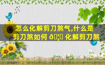 怎么化解剪刀煞气,什么是剪刀煞如何 🦅 化解剪刀煞